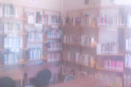 imagen1