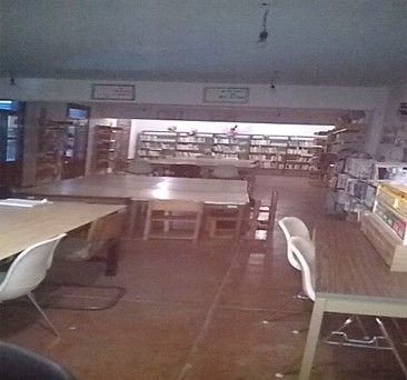 imagen3