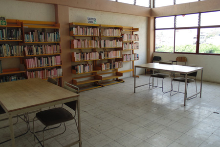 imagen3