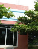 imagen3