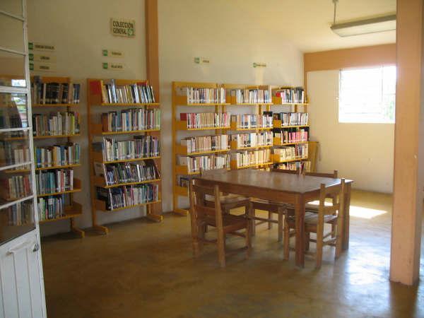 imagen3