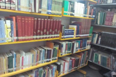 imagen1