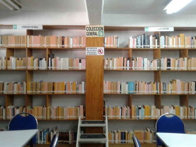 imagen1