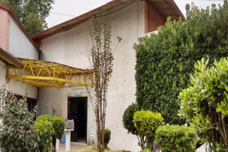 imagen3