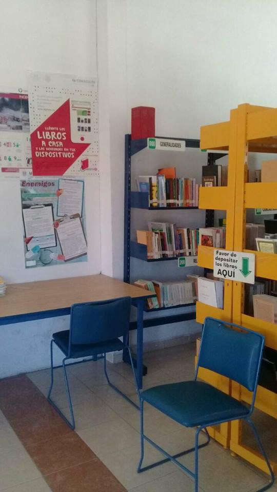 imagen1