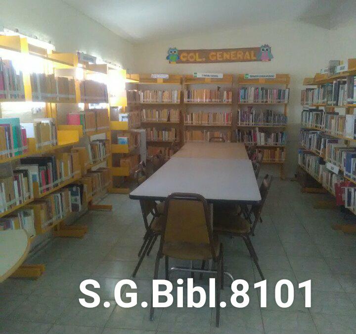 imagen2