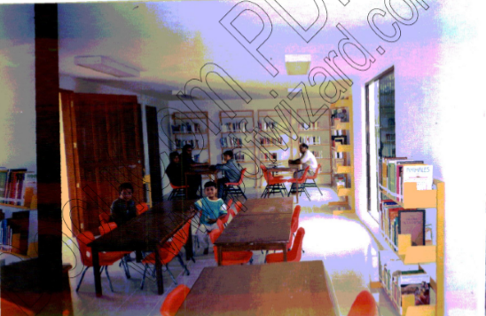 imagen0