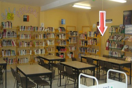 imagen3