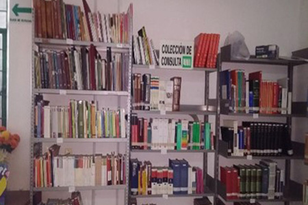imagen1