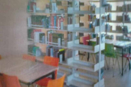 imagen2