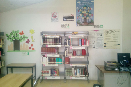 imagen2