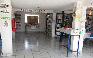 imagen3
