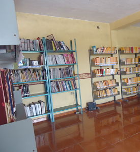 imagen3