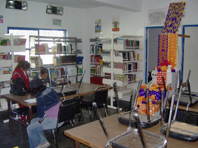 imagen2