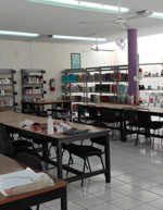 imagen1