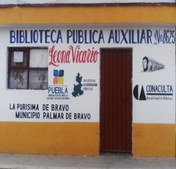 imagen1