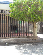 imagen1