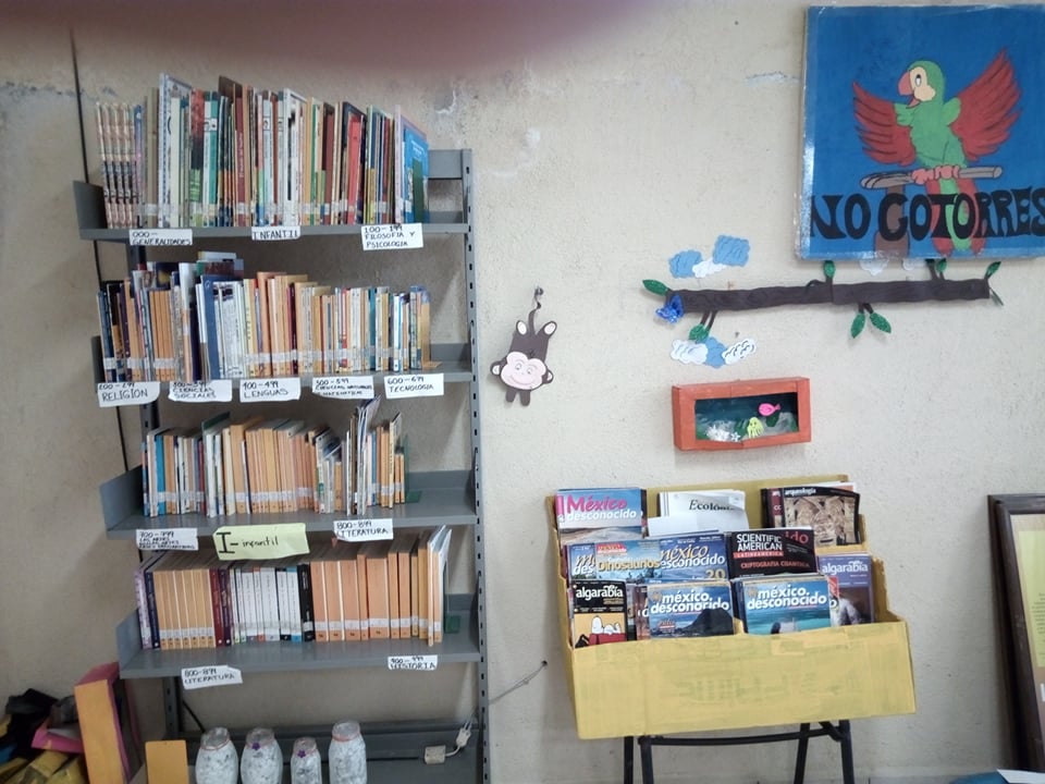 imagen1