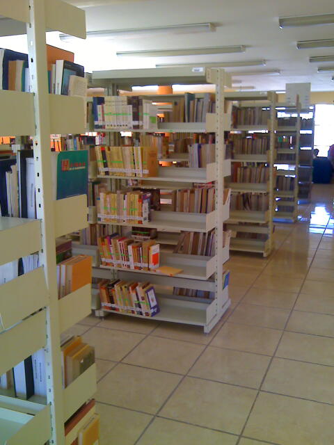 imagen3