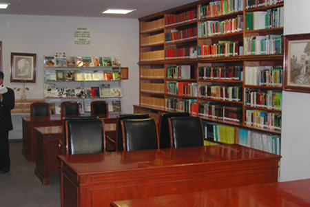 imagen3