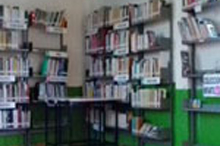 imagen2