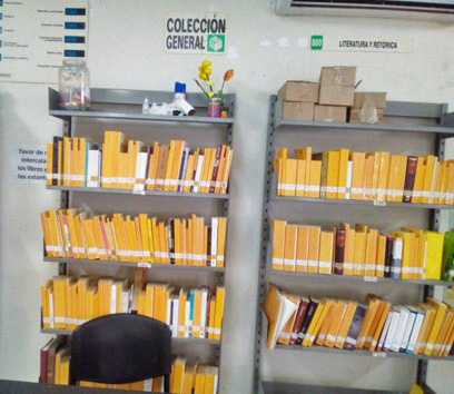 imagen3
