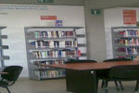 imagen2