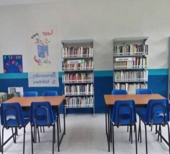imagen1