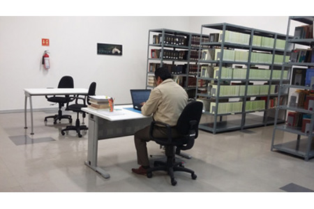 imagen3