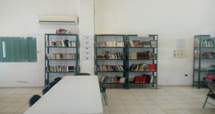 imagen2
