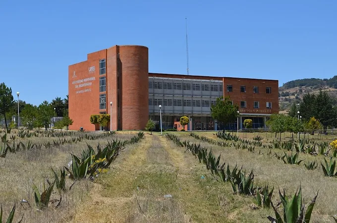 imagen1