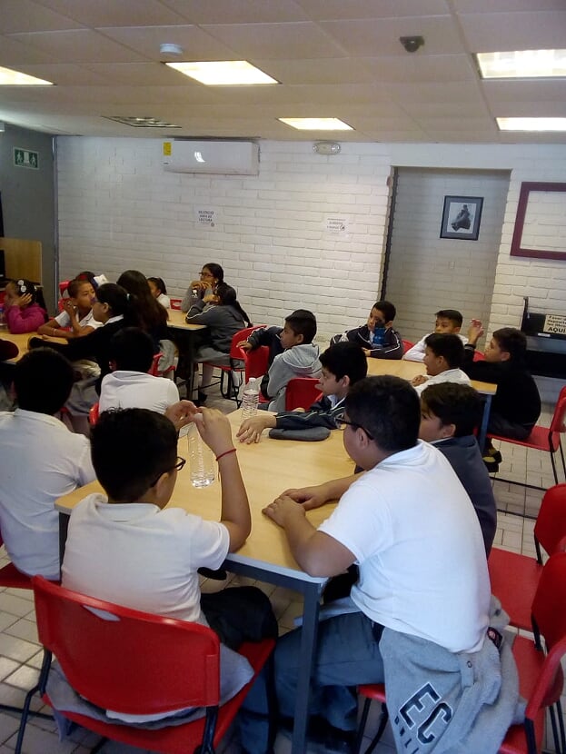 imagen1