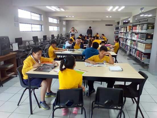 imagen3