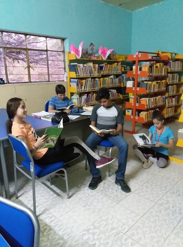 imagen1