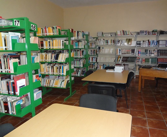 imagen1