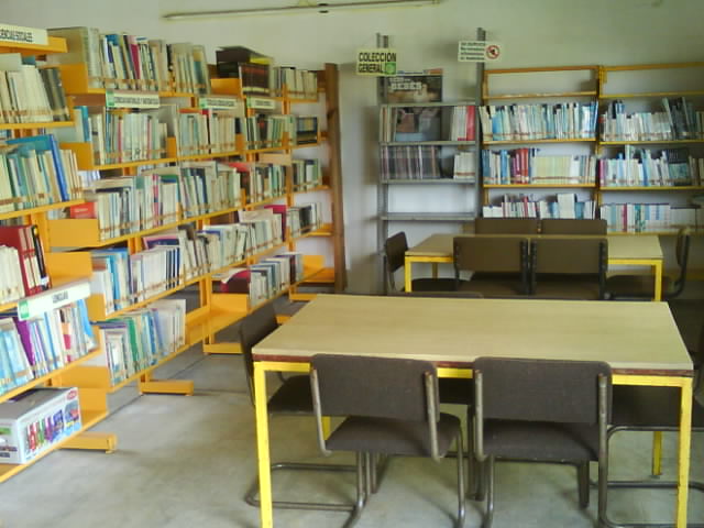 imagen1