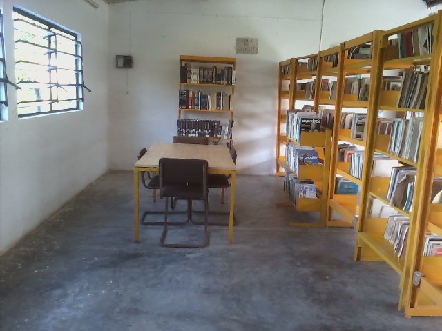 imagen2
