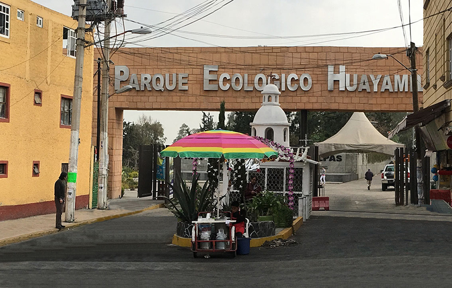 imagen1
