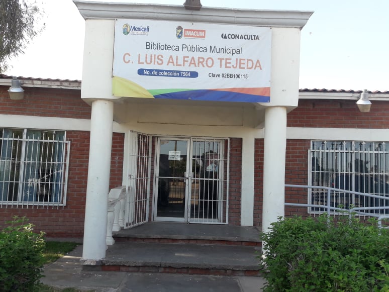 imagen3