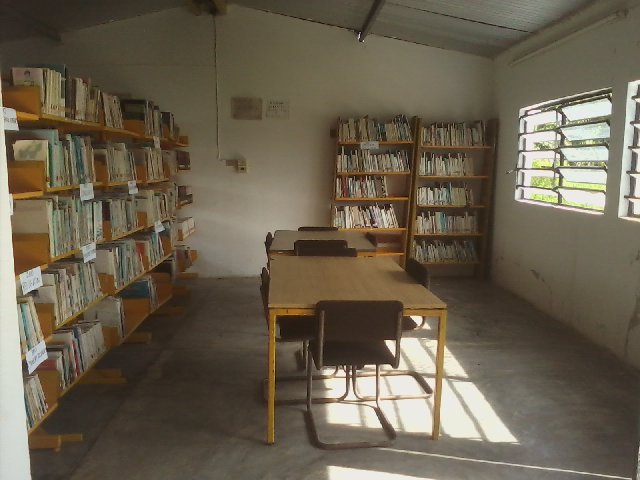 imagen3