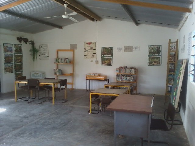 imagen1