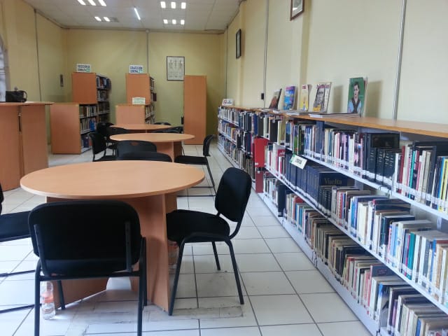 imagen3