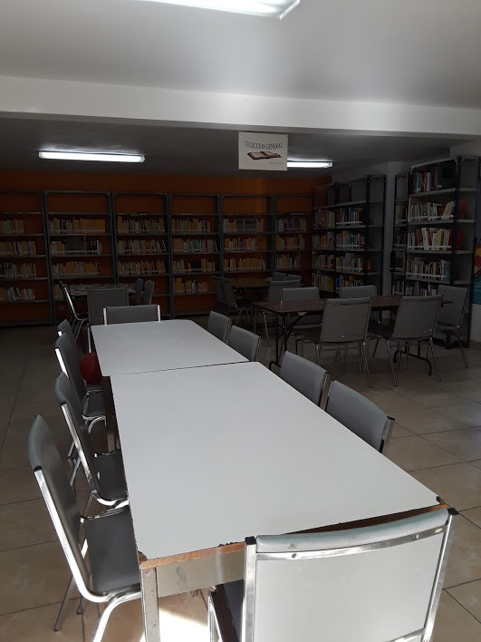 imagen1