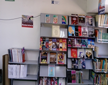 imagen3