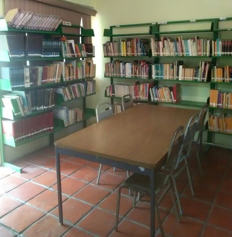 imagen3