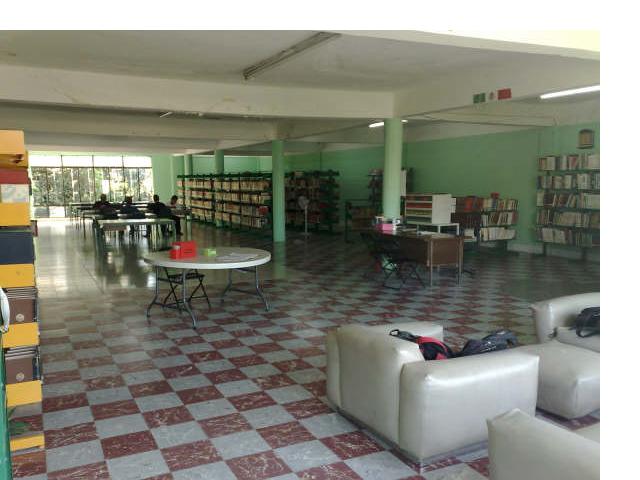 imagen1