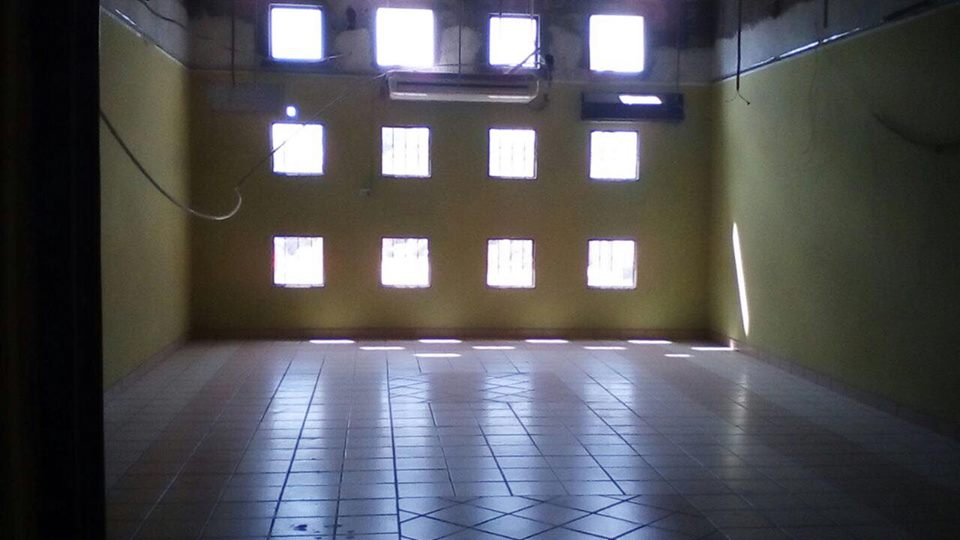 imagen3