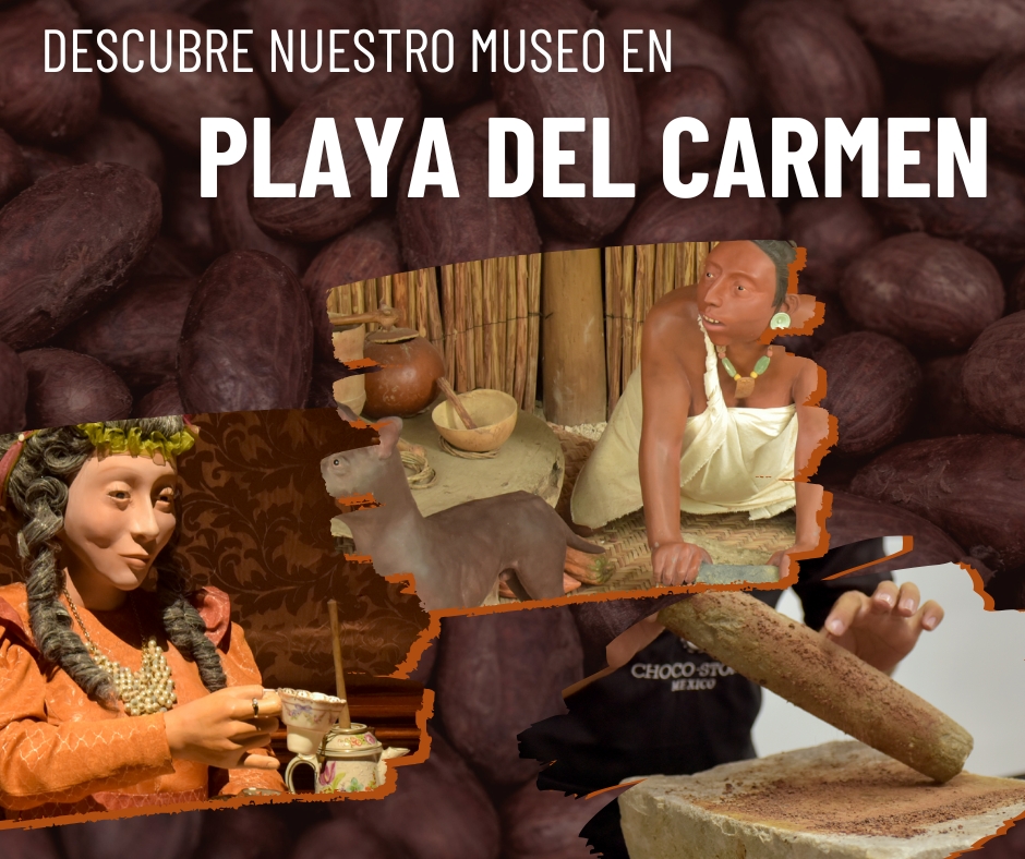 imagen2