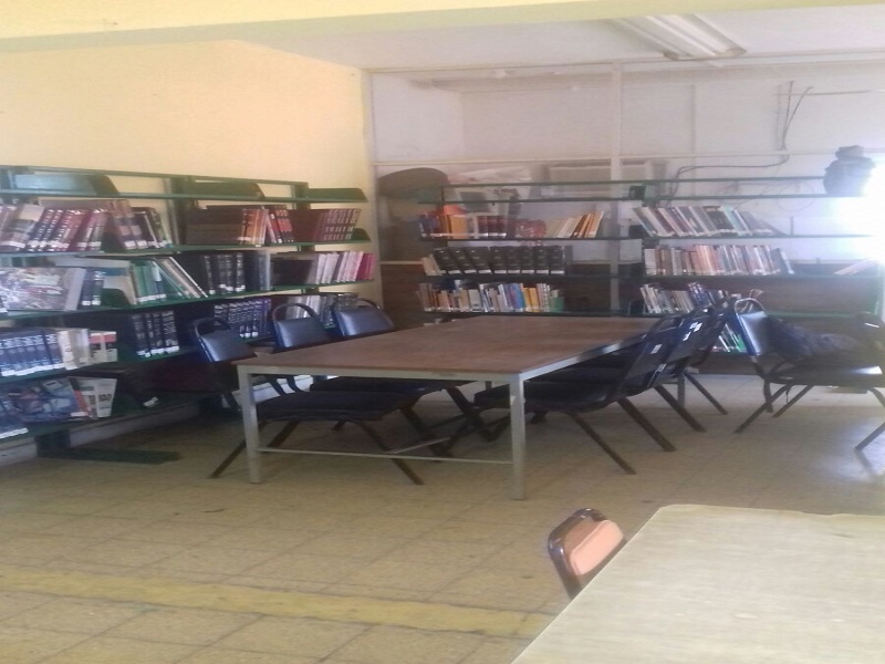 imagen1