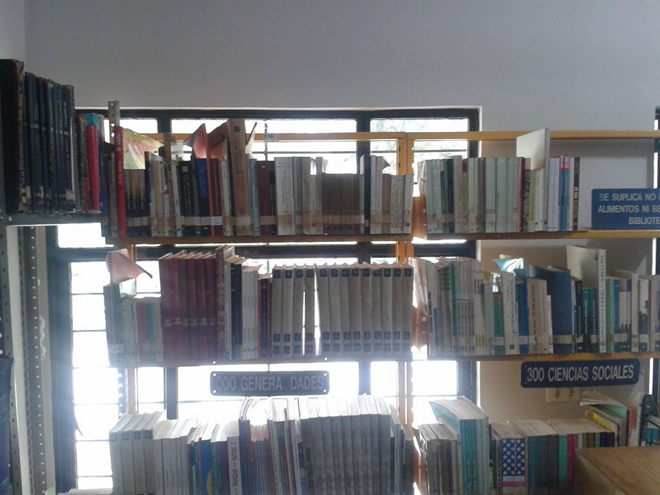 imagen3